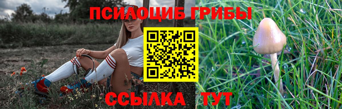 Галлюциногенные грибы Magic Shrooms  купить наркотик  Кудымкар  Вход с VPN  Галлюциногенные грибы Cubensis 